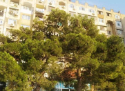 Satılır 3 otaqlı 55 m2 köhnə tikili Y.Günəşli