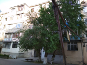 İcarəyə verilir 1 otaqlı 31 m2 köhnə tikili 6 mkr