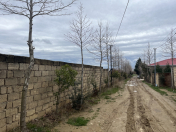 Satılır 10 sot torpaq Mehdiabad