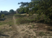 Satılır 25 sot torpaq Bilgəh