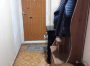 İcarəyə verilir 2 otaqlı 43 m2 köhnə tikili 28 may