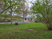 Satılır 4 otaqlı 196 m2 həyət evi Qəbələ