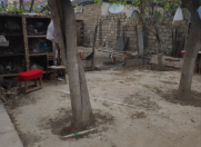 Satılır 7 sot torpaq Qala