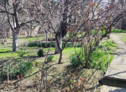 Satılır 3 otaqlı 1200 m2 həyət evi Biləcəri