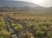 Satılır 8 sot torpaq Qobu