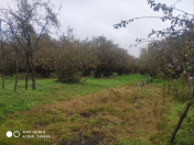 Satılır 12 sot torpaq Oğuz