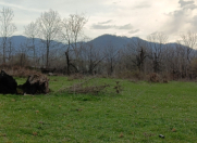 Satılır 34 sot torpaq Qəbələ