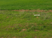 Satılır 30000 sot torpaq Qusar