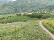 Satılır 70 sot torpaq Lerik