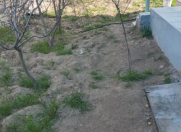 İcarəyə verilir 3 otaqlı 45 m2 bağ evi Sumqayıt