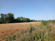 Satılır 351 sot torpaq Xaçmaz