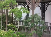 İcarəyə verilir 12 otaqlı 1000 m2 bağ evi Mərdəkan