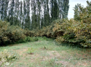 Satılır 50 sot torpaq Qusar