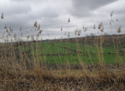 Satılır 61 sot torpaq Xaçmaz