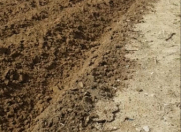 Satılır 24 sot torpaq Nardaran