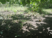 Satılır 3 otaqlı 160 m2 bağ evi Xaçmaz