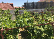 Satılır 12 sot torpaq Nardaran