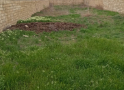 Satılır 7 sot torpaq Saray