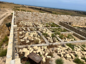 Satılır 2 sot torpaq Fatmayı