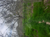 Satılır 12 sot torpaq Buzovna