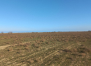 Satılır 400 sot torpaq Məhəmmədli