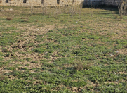 Satılır 12 sot torpaq Albalı