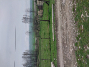 Satılır 10 sot torpaq İsmayıllı