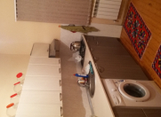 Satılır 3 otaqlı 100 m2 həyət evi Binə