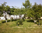 Satılır 5 otaqlı 230 m2 bağ evi Novxanı