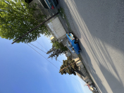 Satılır 3 otaqlı 18 m2 köhnə tikili Şəmkir