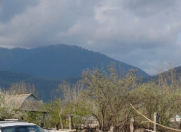 Satılır 6 sot torpaq Qəbələ