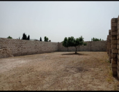 Satılır 7 sot torpaq Albalı