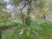 Satılır 6 sot torpaq Flame Towers