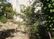 Satılır 5 otaqlı 187 m2 bağ evi Mingəçevir