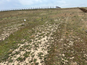 Satılır 145 sot torpaq Masazır