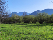 Satılır 10 sot torpaq Qəbələ