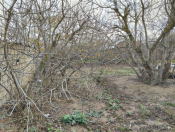 Satılır 10.7 sot torpaq Sumqayıt