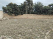 Satılır 24 sot torpaq Bilgəh