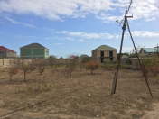 Satılır 25 sot torpaq Albalı