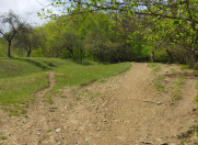 Satılır 25 sot torpaq Quba