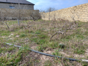 Satılır 5 sot torpaq Sumqayıt