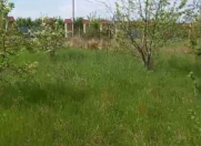 Satılır 8 sot torpaq Quba