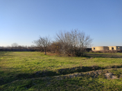 Satılır 1000 sot torpaq Salyan