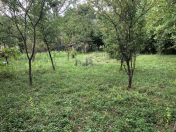 Satılır 10 sot torpaq İsmayıllı