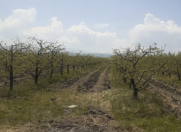 Satılır 51 sot torpaq Quba