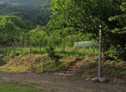 İcarəyə verilir 4 otaqlı 150 m2 bağ evi Qəbələ