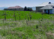 Satılır 50 sot torpaq Şamaxı