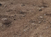 Satılır 6 sot torpaq Gəncə