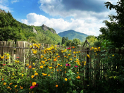 İcarəyə verilir 3 otaqlı 65 m2 həyət evi Şamaxı