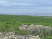 Satılır 3400 sot torpaq Hacıqabul